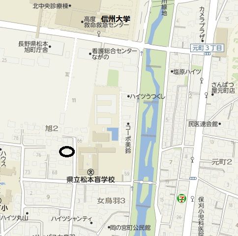 ここに拡大表示されます